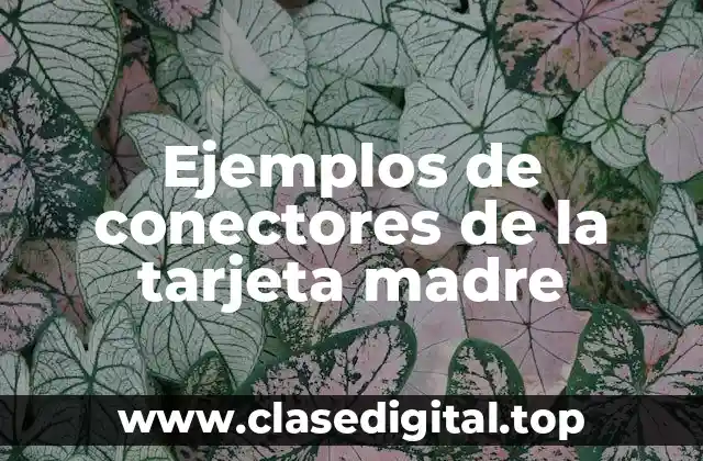 Ejemplos de conectores de la tarjeta madre