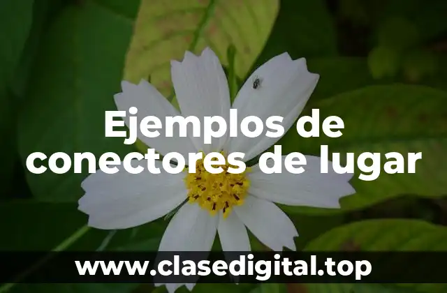 Ejemplos de conectores de lugar