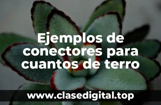 Ejemplos de conectores para cuantos de terro