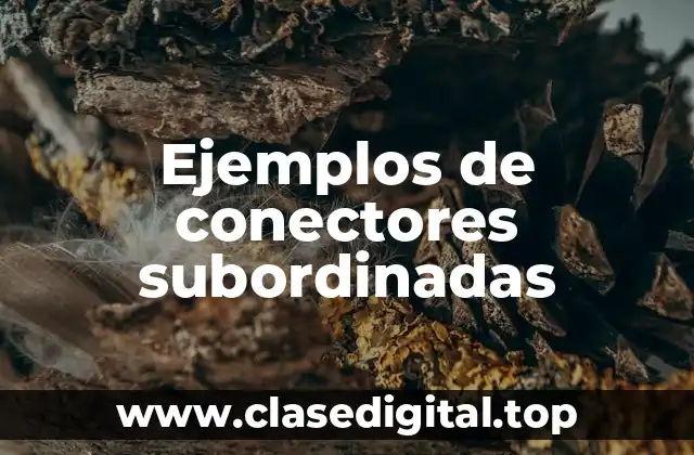 Ejemplos de conectores subordinadas
