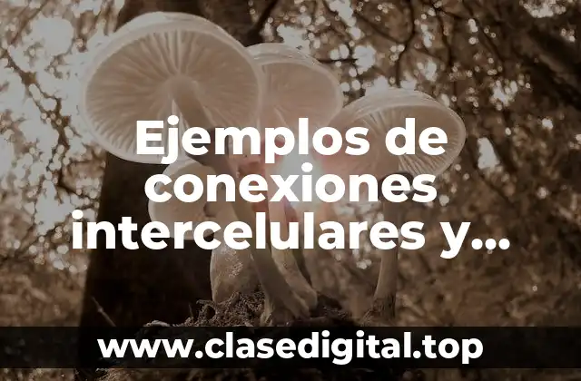 Ejemplos de conexiones intercelulares y funciones en célula vegetal