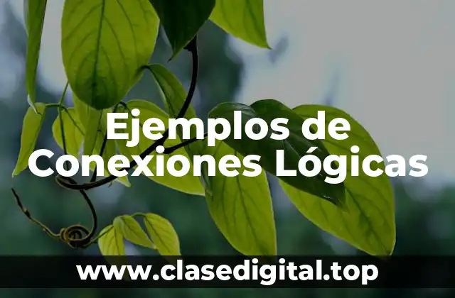 Ejemplos de Conexiones Lógicas