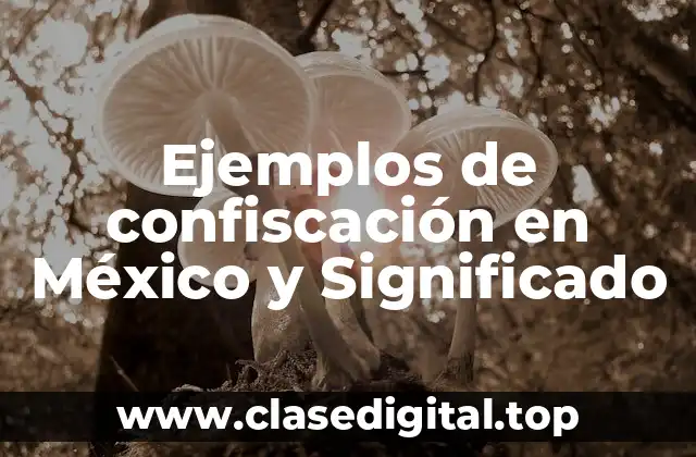 Ejemplos de confiscación en México y Significado