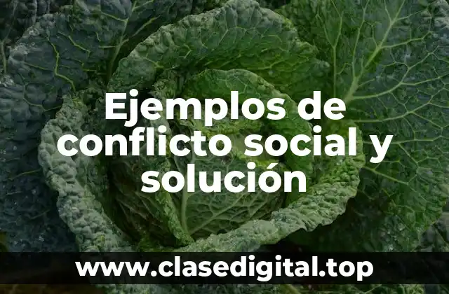 Ejemplos de conflicto social y solución
