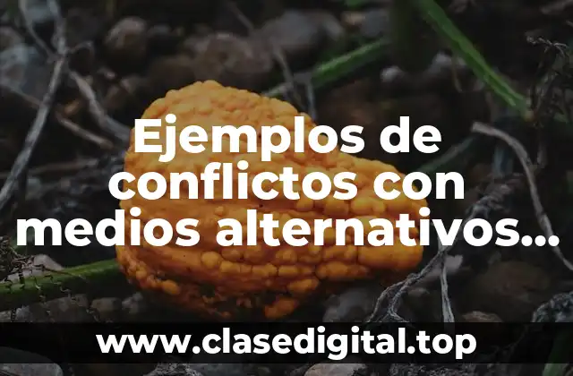 Ejemplos de conflictos con medios alternativos de soluciones