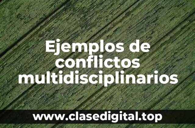 Ejemplos de conflictos multidisciplinarios