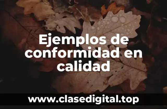 Ejemplos de conformidad en calidad