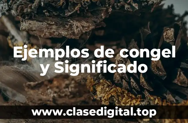 Ejemplos de congel y Significado