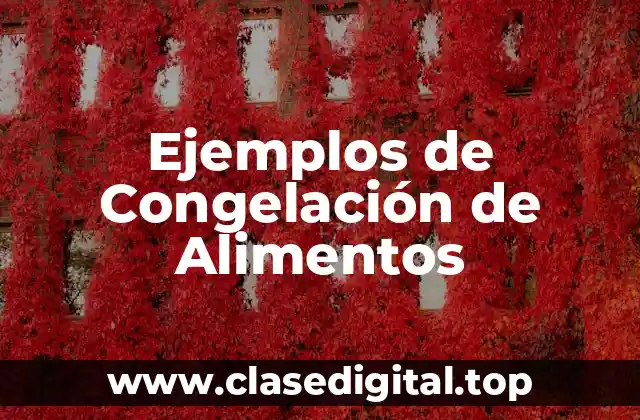 Ejemplos de Congelación de Alimentos