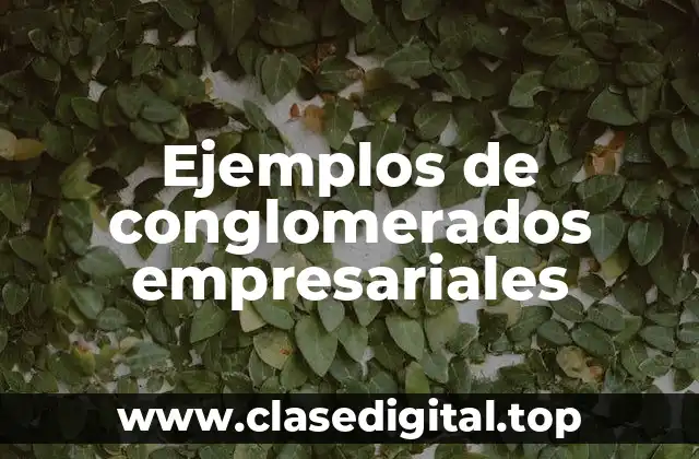 Ejemplos de conglomerados empresariales