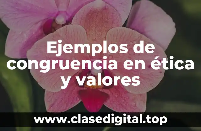 Ejemplos de congruencia en ética y valores