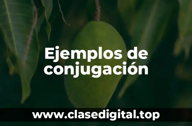 Ejemplos de conjugación
