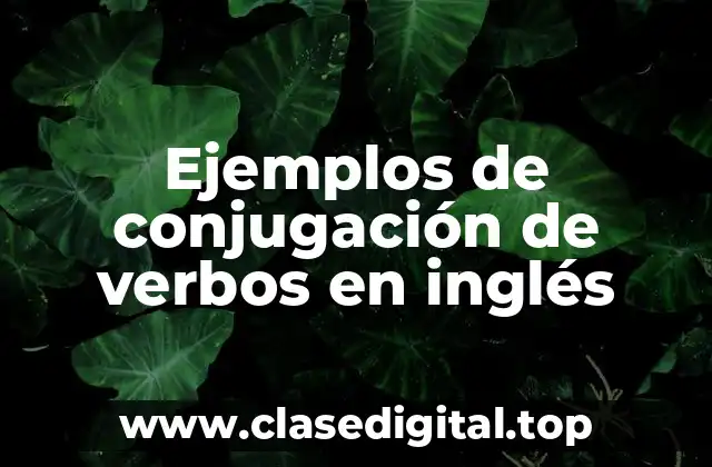 Ejemplos de conjugación de verbos en inglés