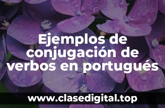 Ejemplos de conjugación de verbos en portugués