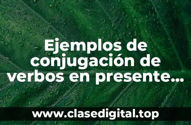 Ejemplos de conjugación de verbos en presente simple en inglés