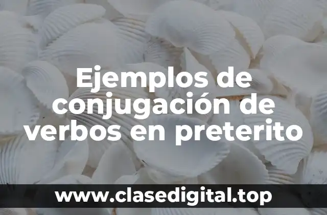 Ejemplos de conjugación de verbos en preterito