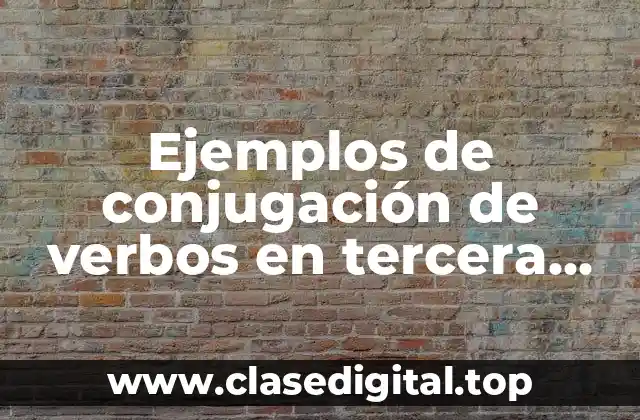 Ejemplos de conjugación de verbos en tercera persona en inglés