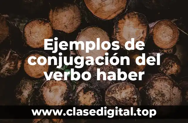 Ejemplos de conjugación del verbo haber