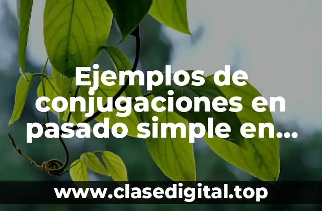 Ejemplos de conjugaciones en pasado simple en maya y Significado