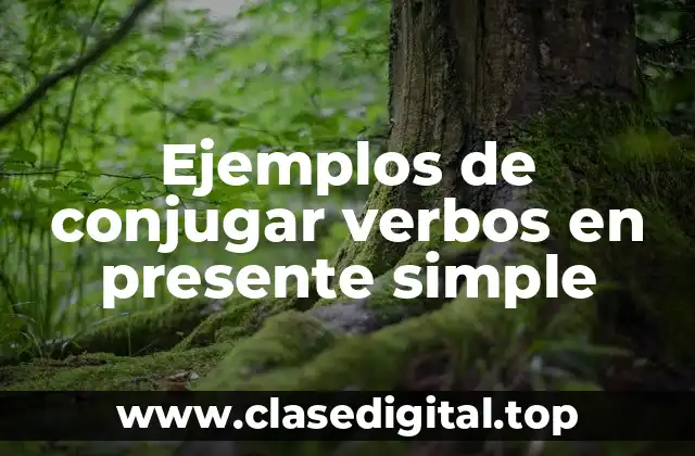 Ejemplos de conjugar verbos en presente simple