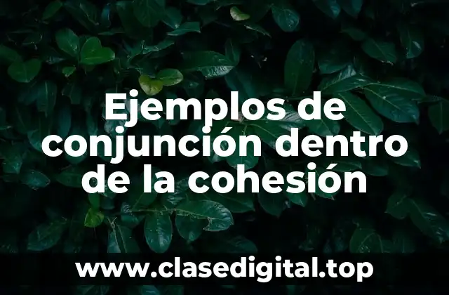 Ejemplos de conjunción dentro de la cohesión