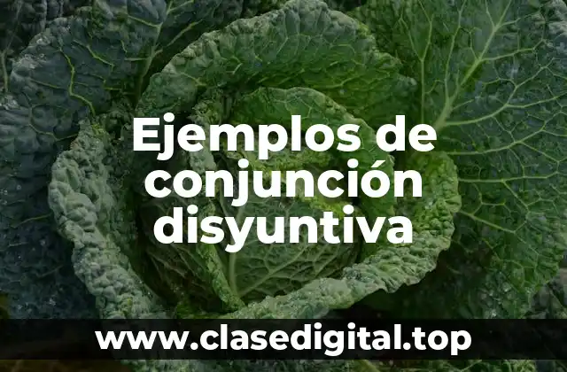 Ejemplos de conjunción disyuntiva