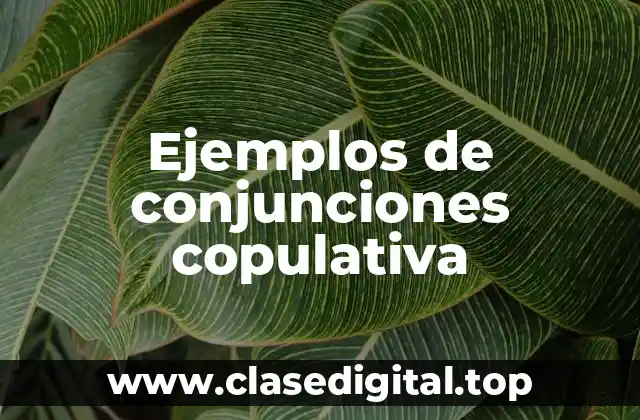 Ejemplos de conjunciones copulativa