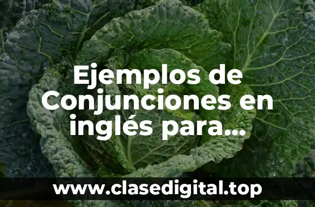 Ejemplos de Conjunciones en inglés para oraciones y Significado