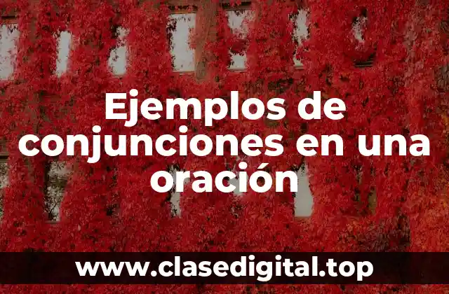 Ejemplos de conjunciones en una oración