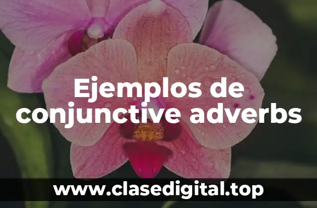 Ejemplos de conjunctive adverbs