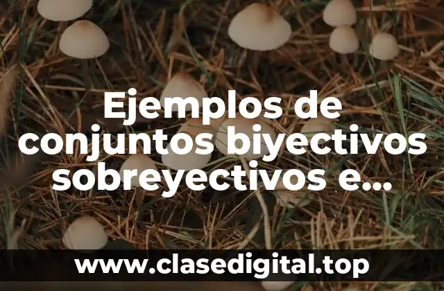 Ejemplos de conjuntos biyectivos sobreyectivos e inyectiva