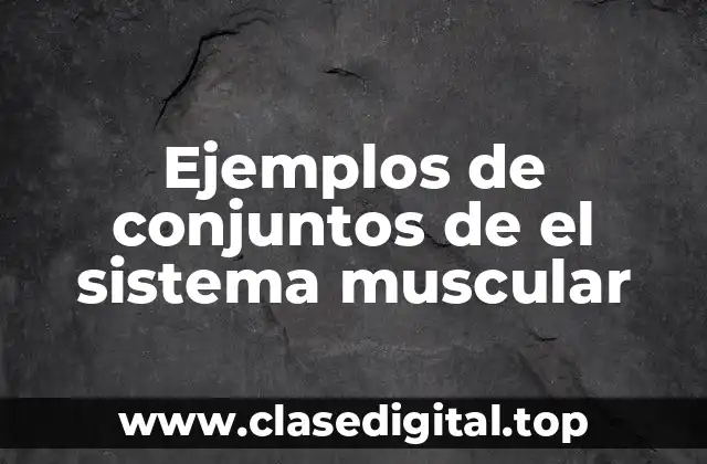 Ejemplos de conjuntos de el sistema muscular
