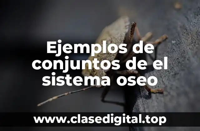 Ejemplos de conjuntos de el sistema oseo