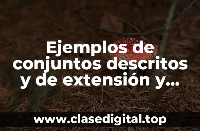 Ejemplos de conjuntos descritos y de extensión y Significado