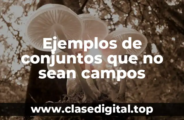 Ejemplos de conjuntos que no sean campos