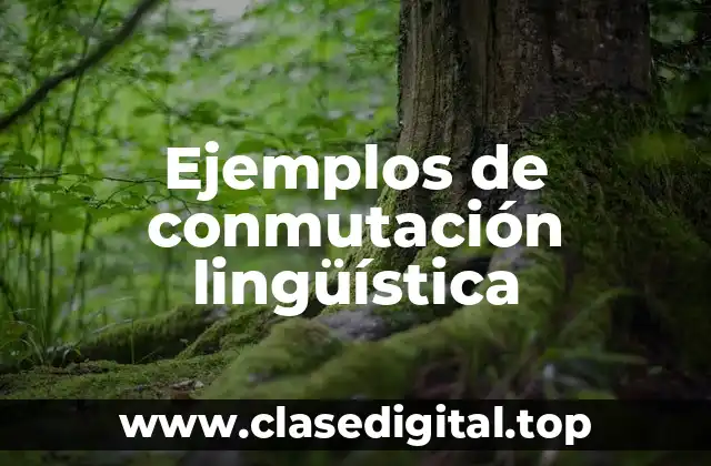 Ejemplos de conmutación lingüística