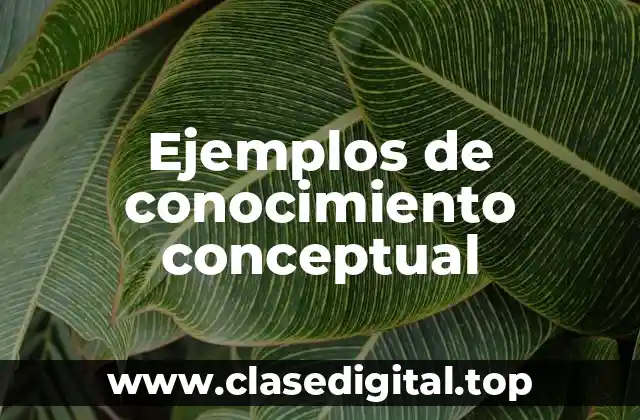 Ejemplos de conocimiento conceptual