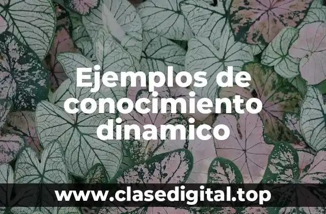 Ejemplos de conocimiento dinamico