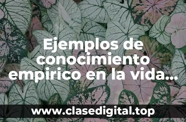 Ejemplos de conocimiento empirico en la vida cotidiana
