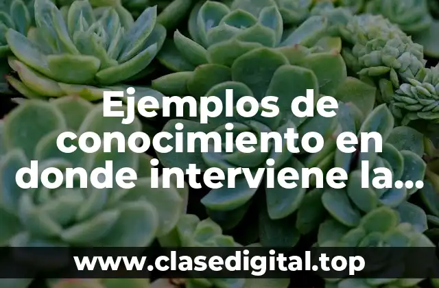 Ejemplos de conocimiento en donde interviene la ciencia y Significado