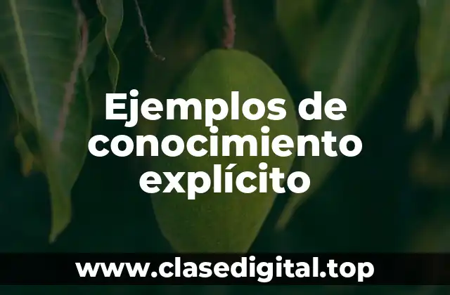 Ejemplos de conocimiento explícito