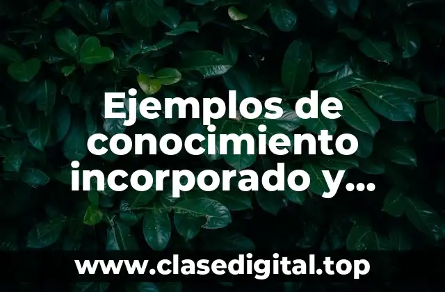 Ejemplos de conocimiento incorporado