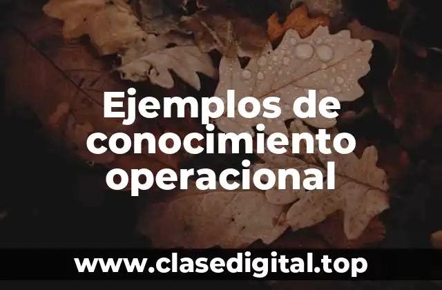 Ejemplos de conocimiento operacional