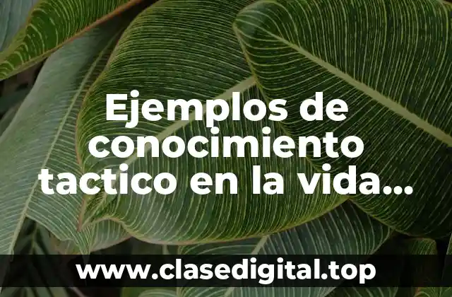 Ejemplos de conocimiento tactico
