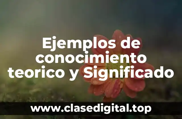 Ejemplos de conocimiento teorico y Significado