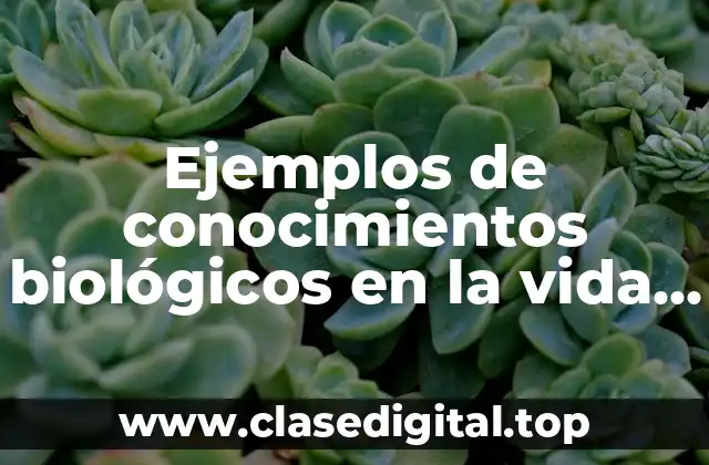 Ejemplos de conocimientos biológicos