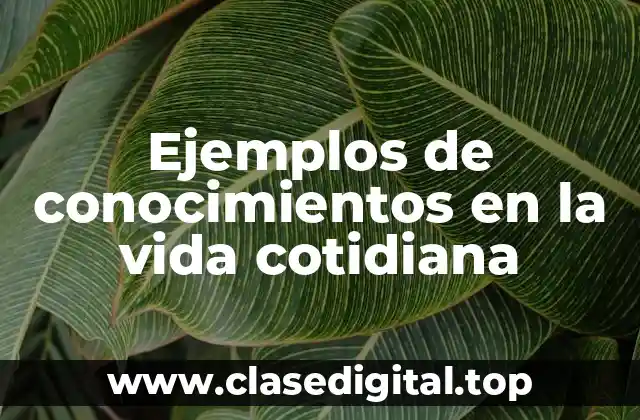 Ejemplos de conocimientos en la vida cotidiana