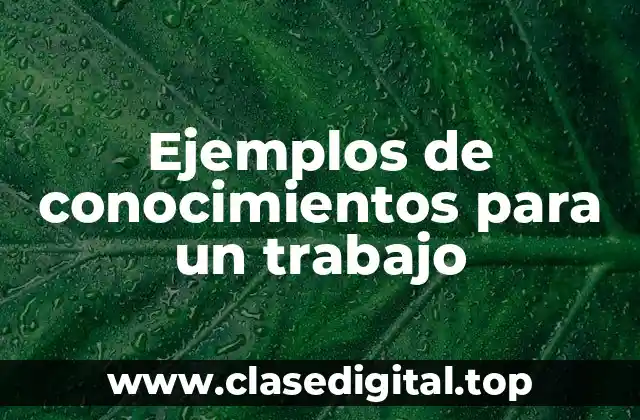 Ejemplos de conocimientos para un trabajo