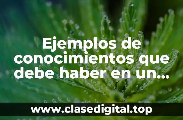 Ejemplos de conocimientos que debe haber en un curriculum