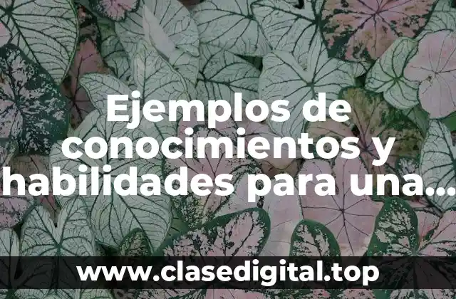 Ejemplos de conocimientos y habilidades para una hoja de vida